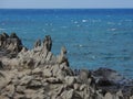 Coastline and rugged lava rocks called DragonÃ¢â¬â¢s Teeth and crashing waves at Makaluapuna Point near Kapalua, Maui, HI, USA Royalty Free Stock Photo